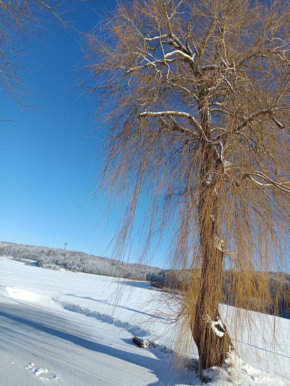 In Neumarkt und Umgebung liegt Schnee so weit das Auge reicht.