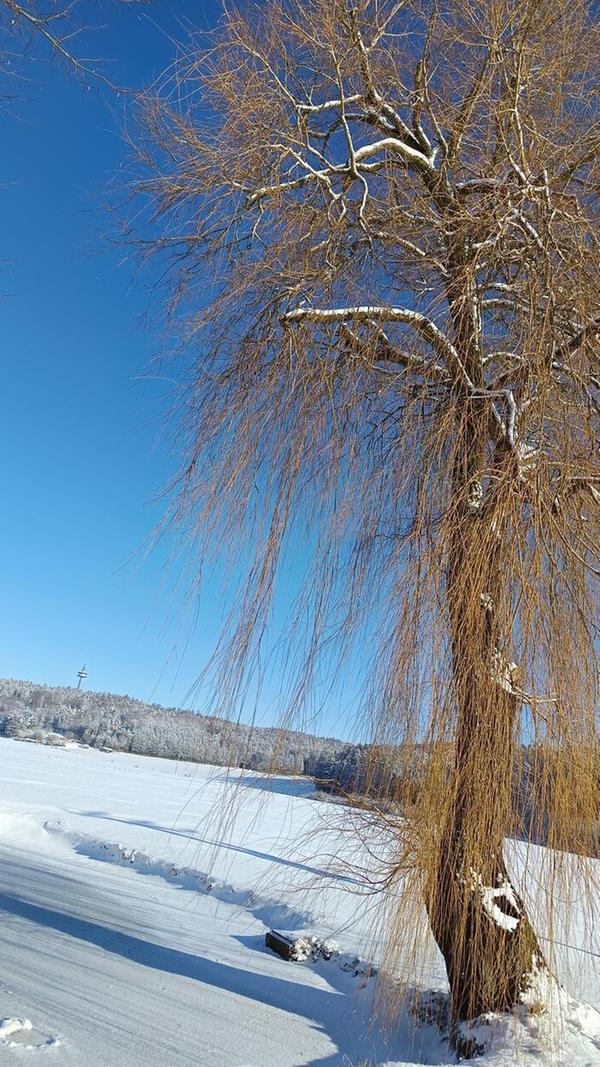 In Neumarkt und Umgebung liegt Schnee so weit das Auge reicht.