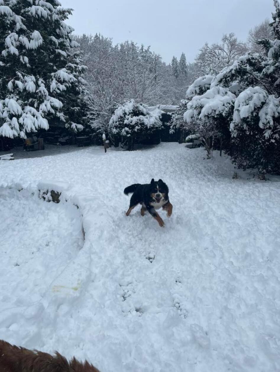 In Neumarkt und Umgebung liegt Schnee so weit das Auge reicht.