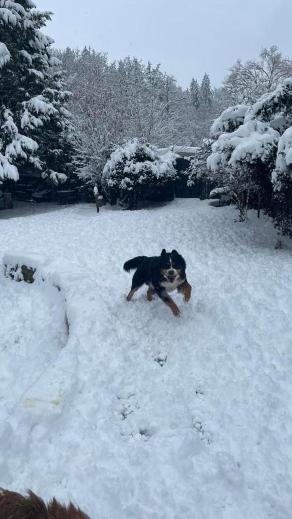 In Neumarkt und Umgebung liegt Schnee so weit das Auge reicht.