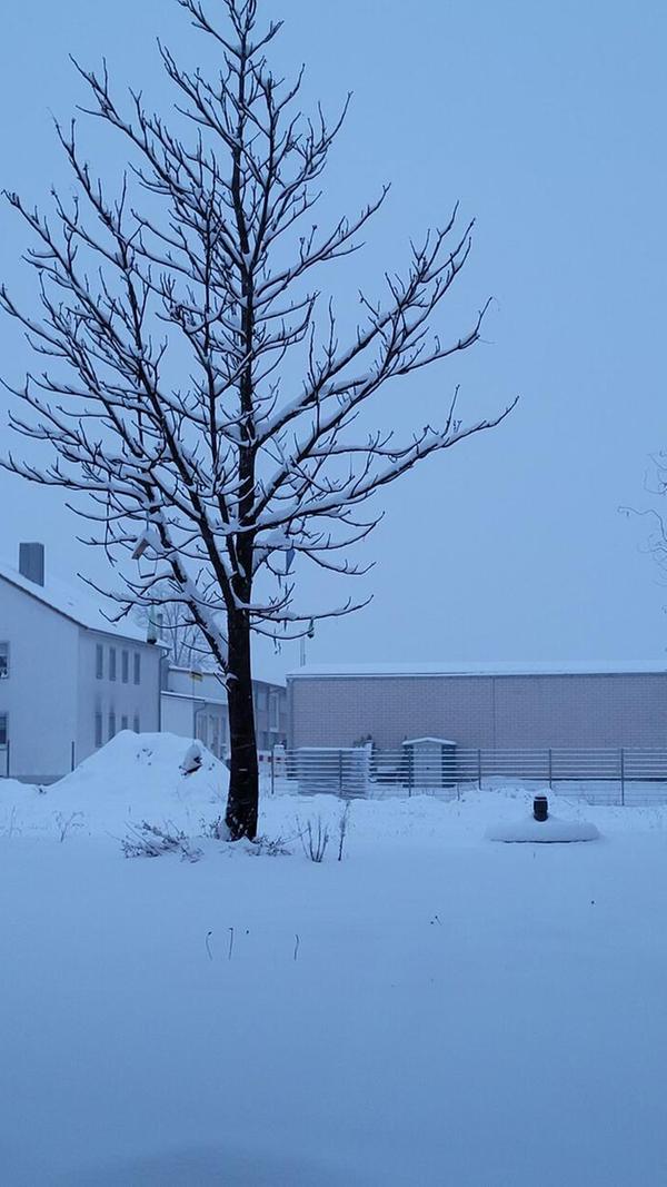 In Neumarkt und Umgebung liegt Schnee so weit das Auge reicht.