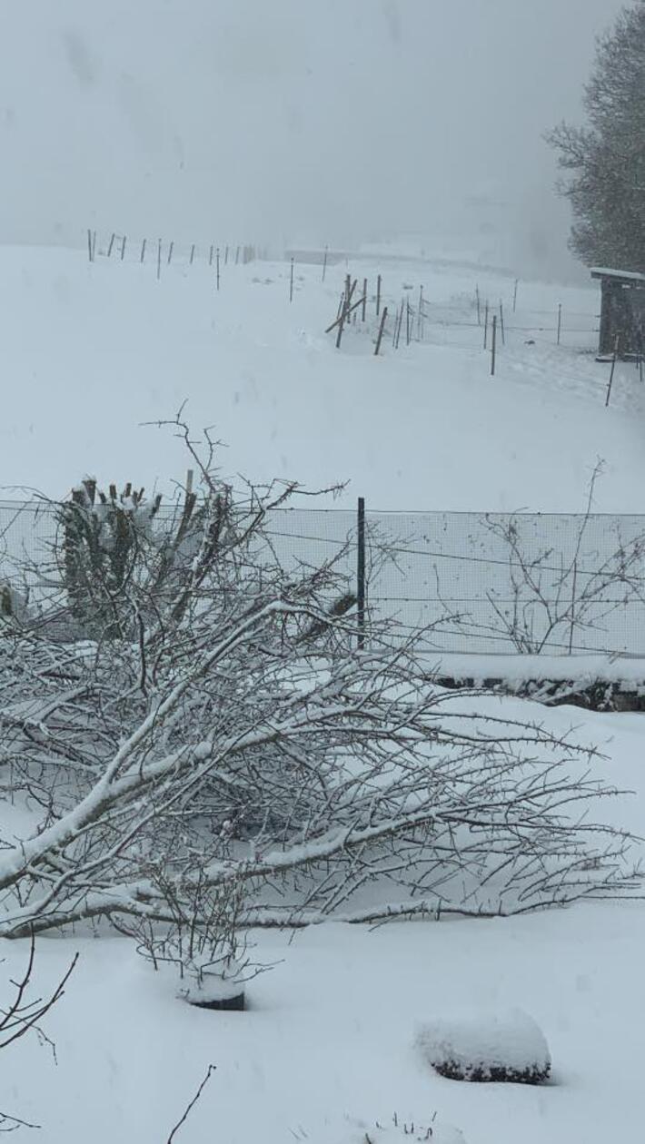 In Neumarkt und Umgebung liegt Schnee so weit das Auge reicht.