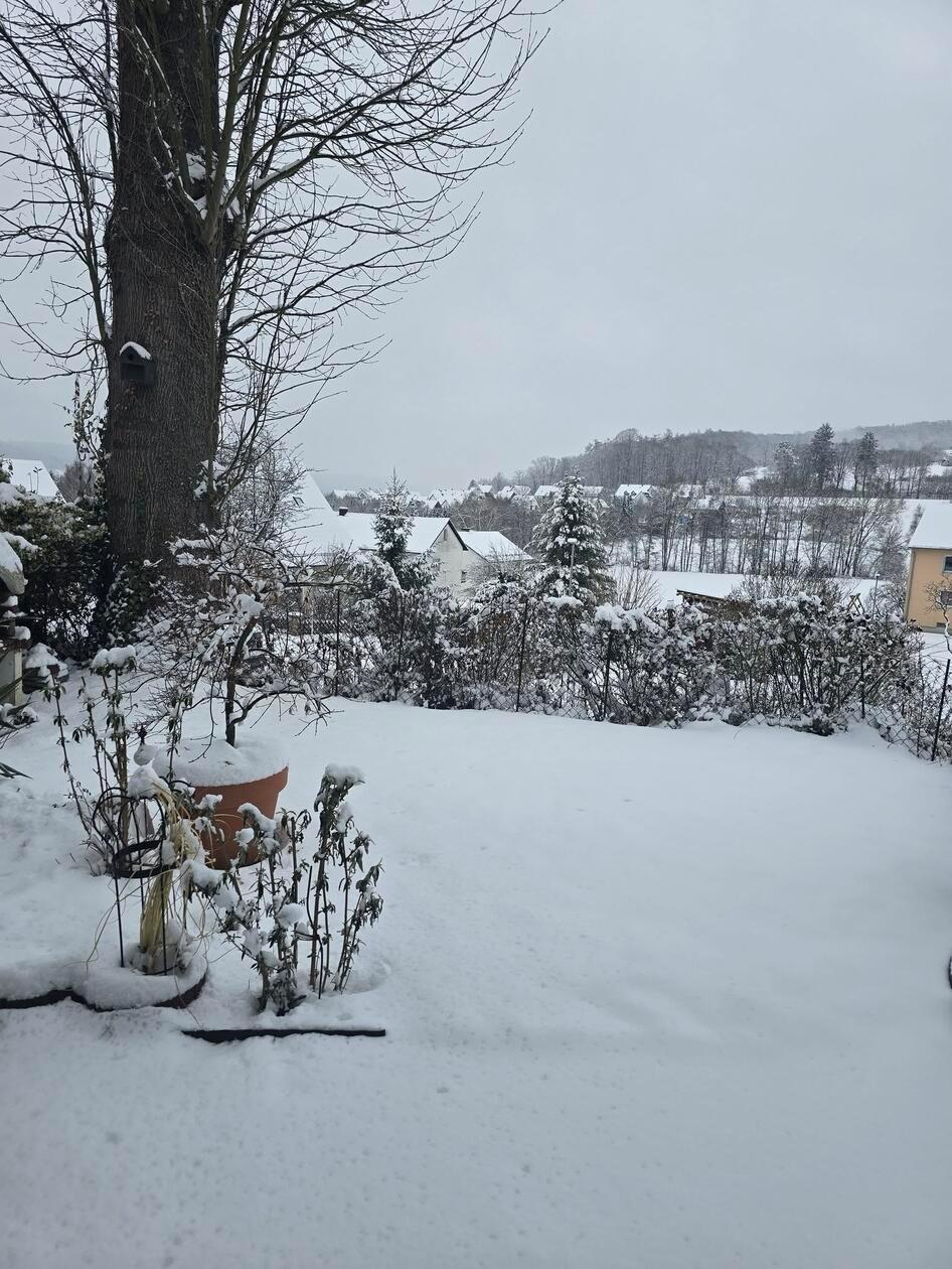 In Neumarkt und Umgebung liegt Schnee so weit das Auge reicht.
