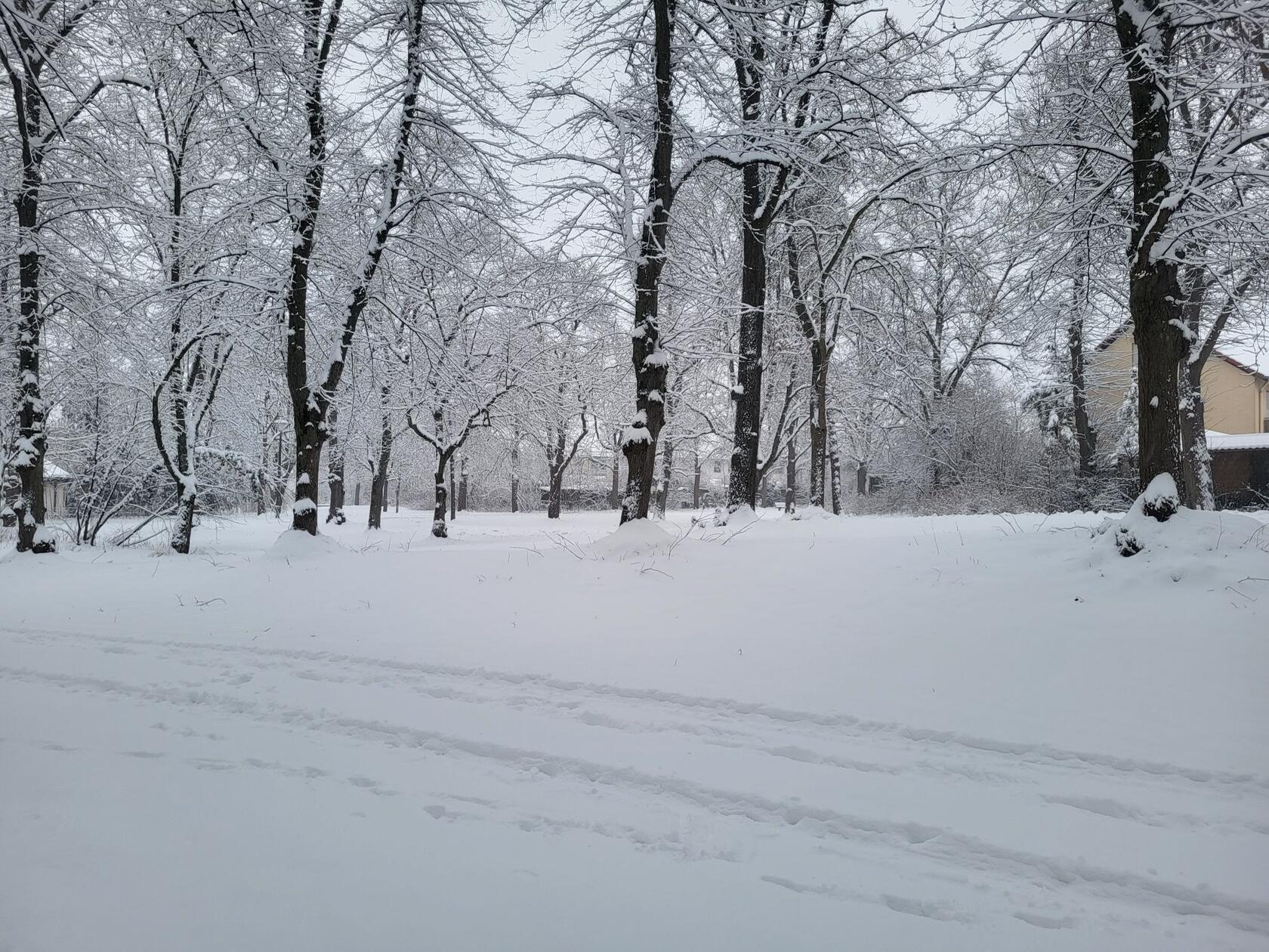 In Neumarkt und Umgebung liegt Schnee so weit das Auge reicht.