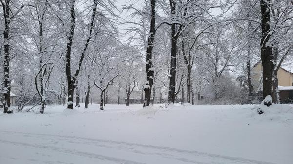 In Neumarkt und Umgebung liegt Schnee so weit das Auge reicht.
