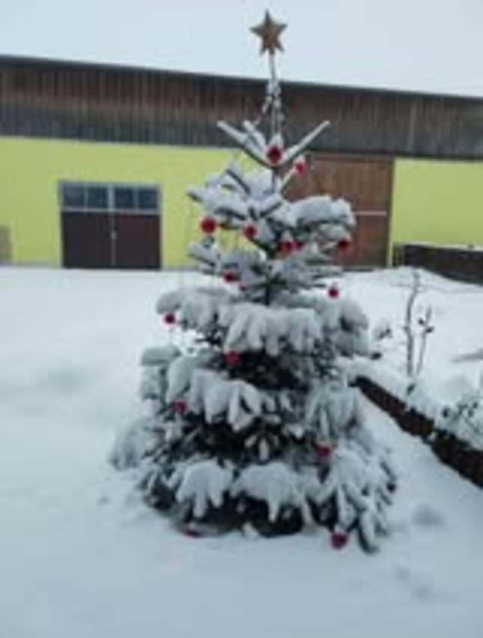 In Neumarkt und Umgebung liegt Schnee so weit das Auge reicht.