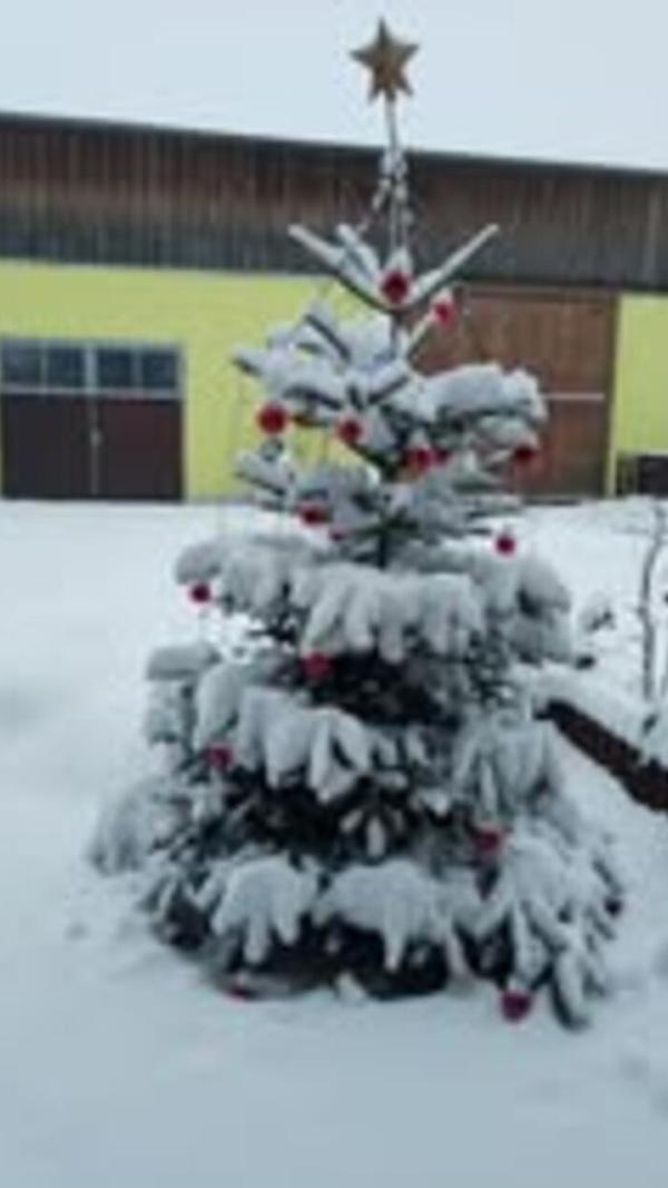 In Neumarkt und Umgebung liegt Schnee so weit das Auge reicht.