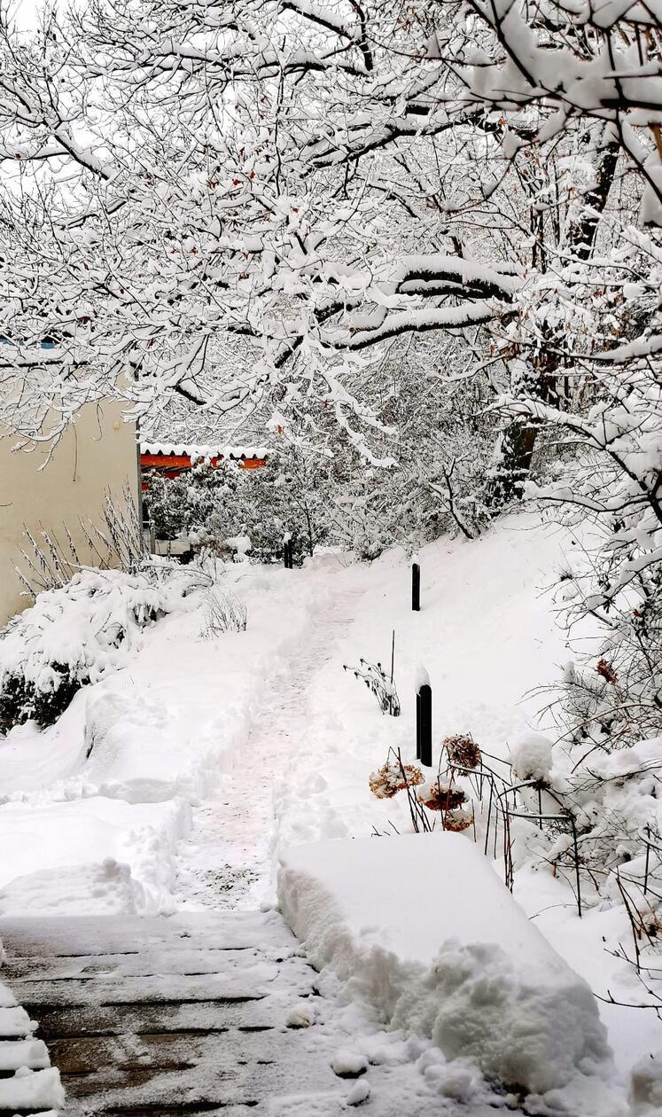 Am Montagmorgen war das Laufen und Fahren plötzlich nicht mehr so leichtz.