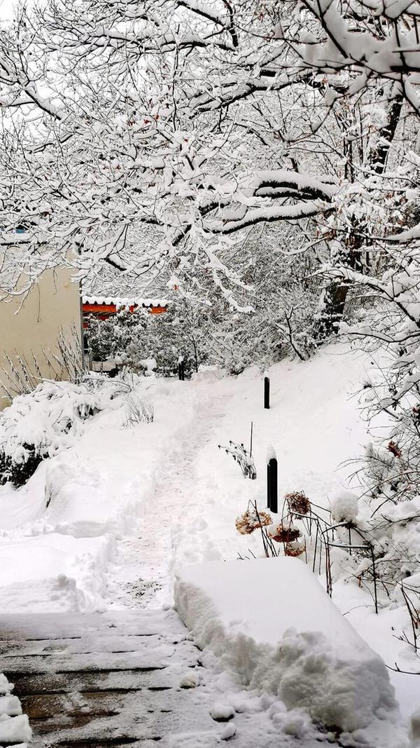 Am Montagmorgen war das Laufen und Fahren plötzlich nicht mehr so leichtz.