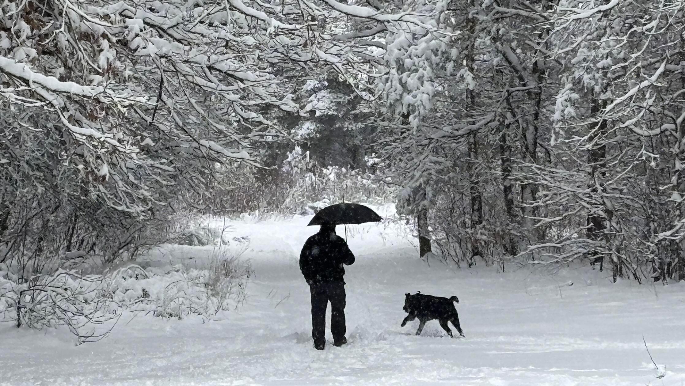 Winter-Wonderland im Rother Norden. Zwei- und Vierbeiner haben ihren Spaß.