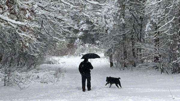 Winter-Wonderland im Rother Norden. Zwei- und Vierbeiner haben ihren Spaß.