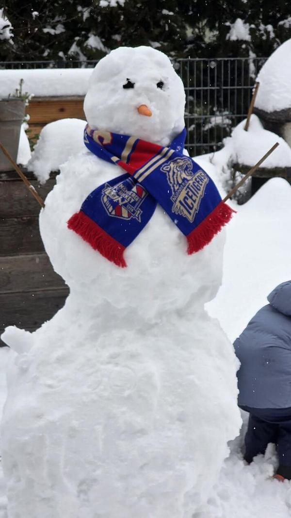 Ob der Schneemann wirklich einen Schal braucht? Wenn ja, trägt er aber den richtigen - von den Ice Tigers!