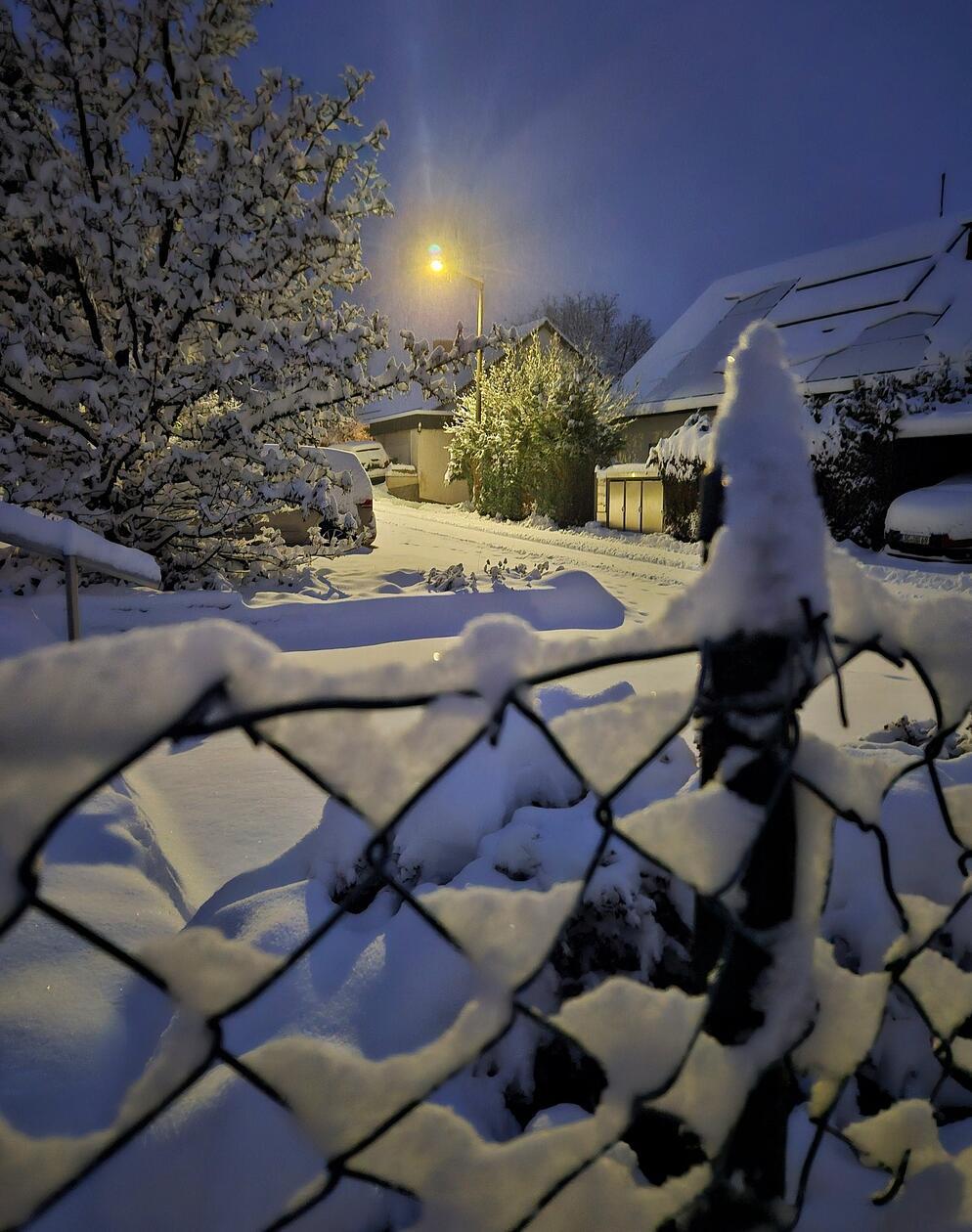 Überall hat sich der nächtliche Schnee niedergelassen - selbst auf den dünnen Zaundrahtmaschen.