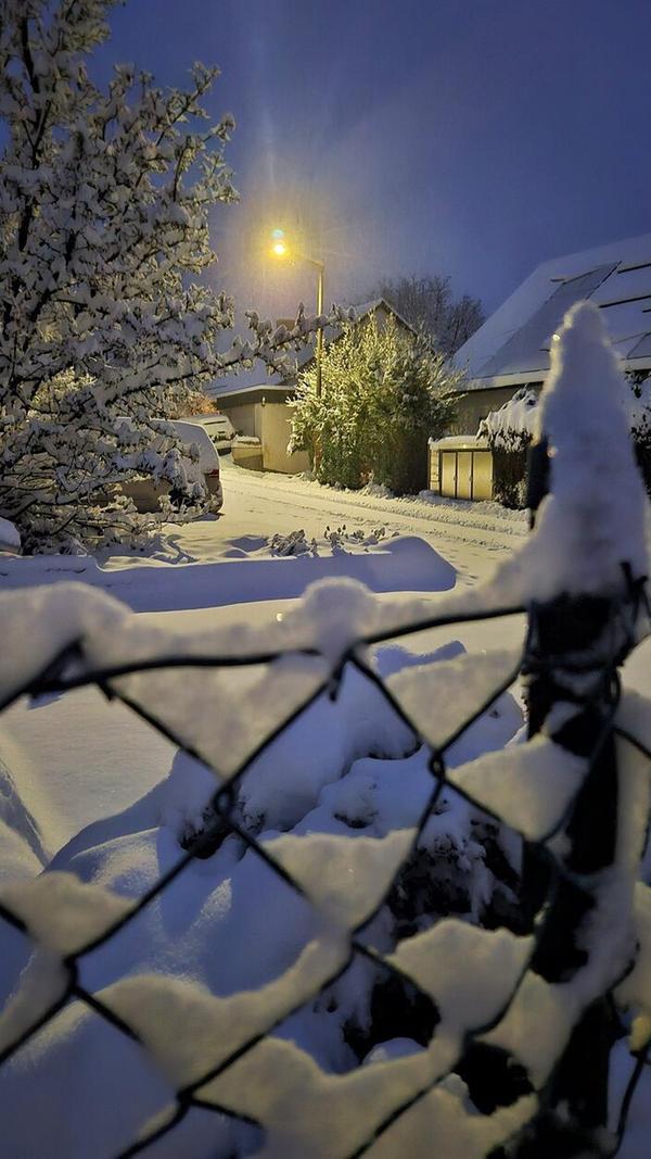 Überall hat sich der nächtliche Schnee niedergelassen - selbst auf den dünnen Zaundrahtmaschen.