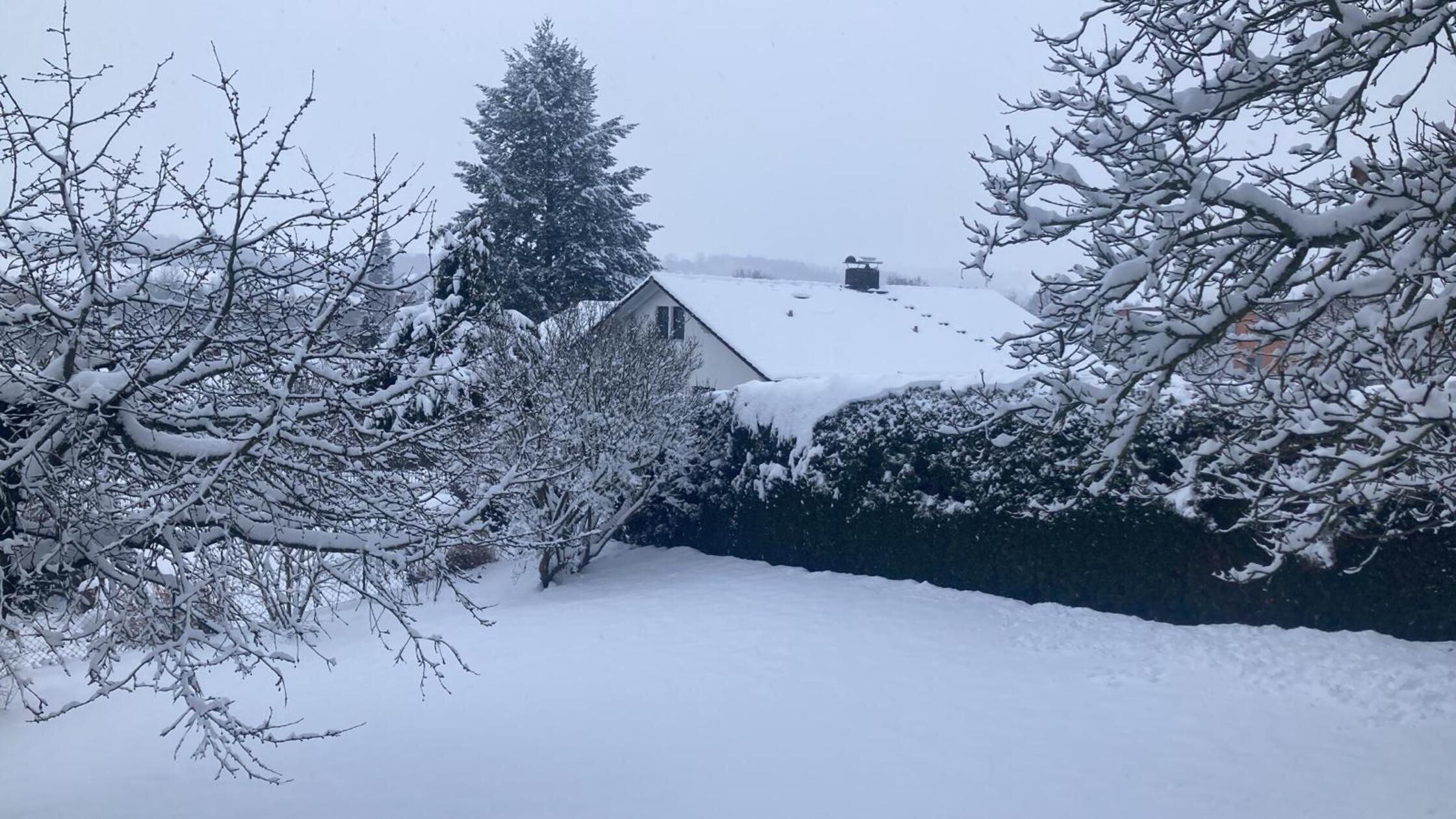 Schneeweiß ist dieser Garten in Heideck.