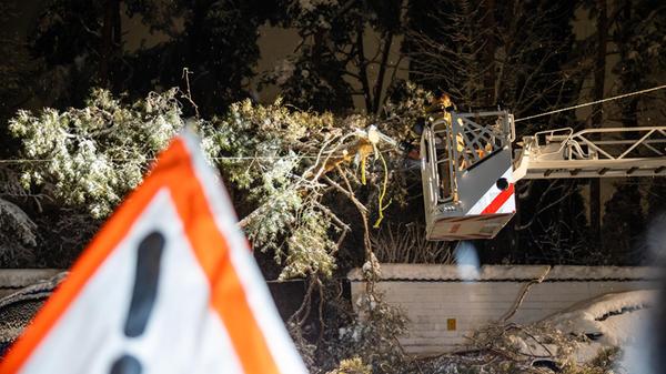 Auch am Abend des Montags (26.01.2026) geht das Sc