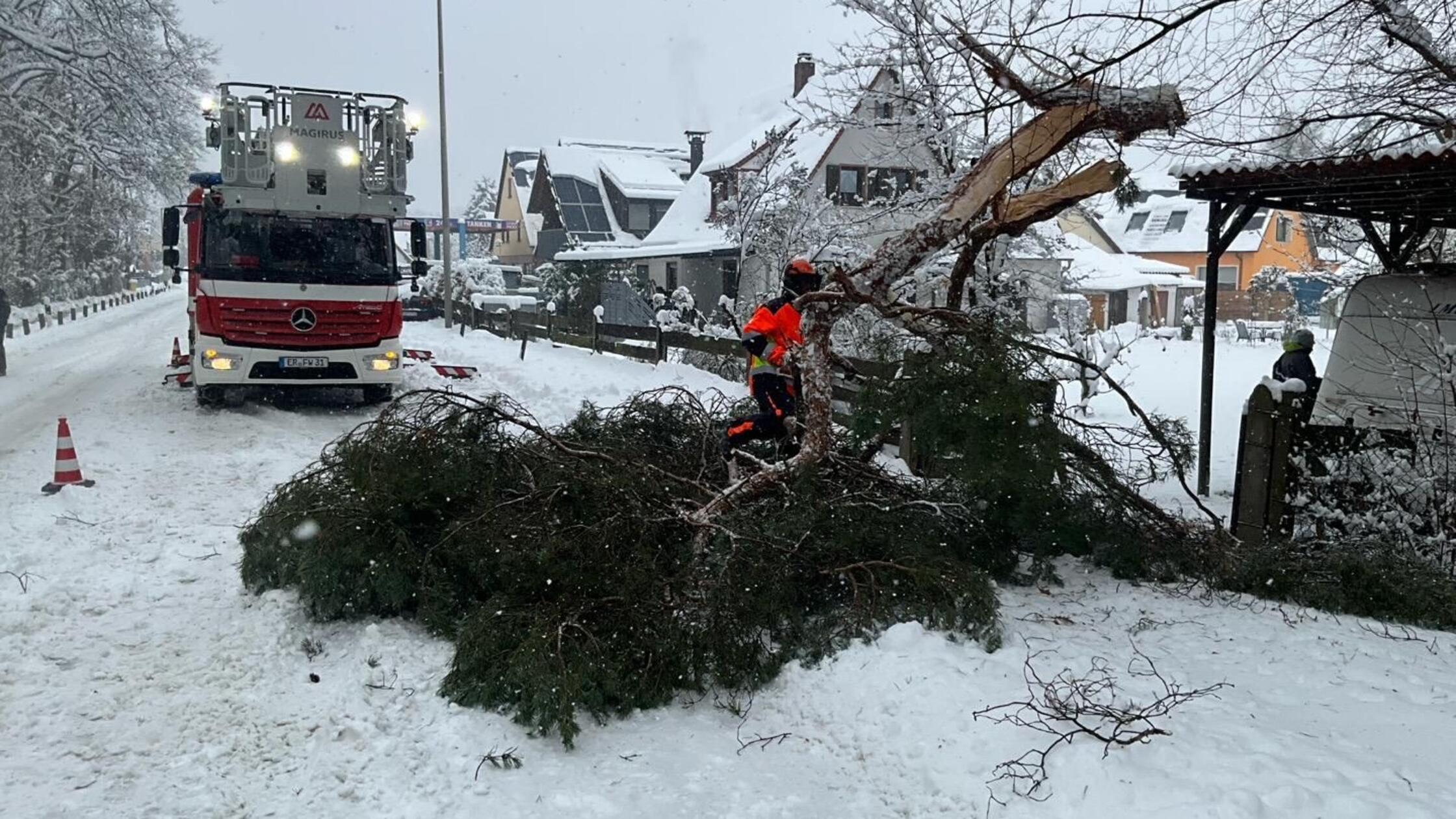 Schneechaos in Erlangen umgestürzte Bäume
