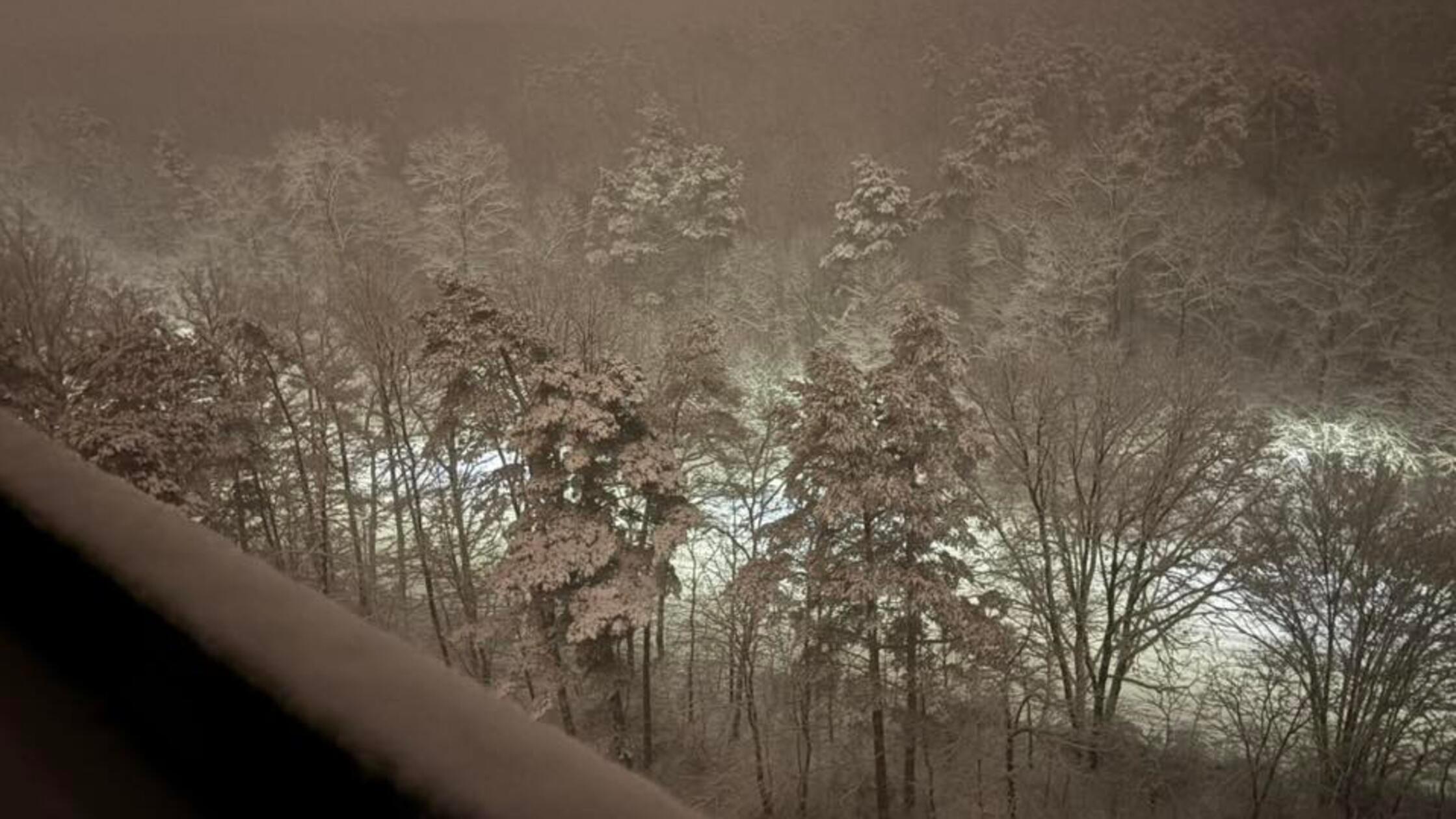 Schneebedeckt und neblig: Fast gespenstisch sah es in der Nacht auf Montag in Langwasser Süd aus.
