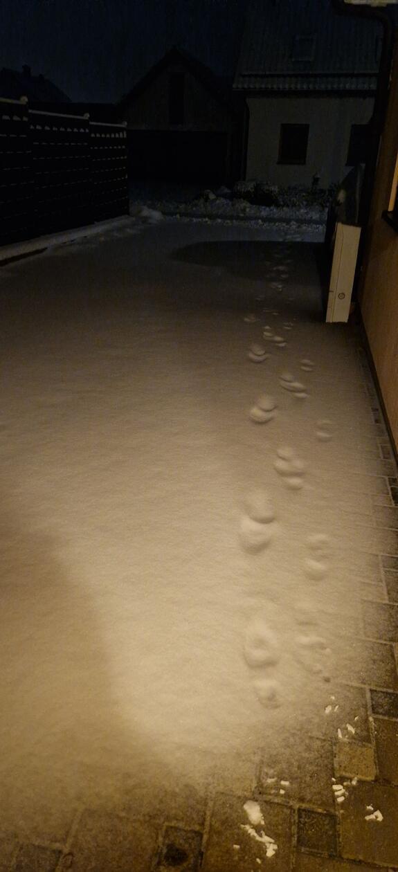 In Neumarkt und Umgebung liegt Schnee so weit das Auge reicht.