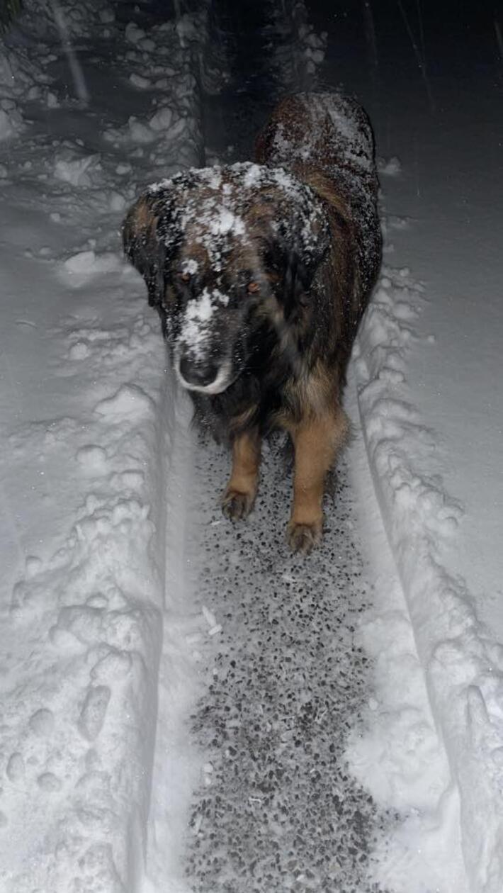 In Neumarkt und Umgebung liegt Schnee so weit das Auge reicht.