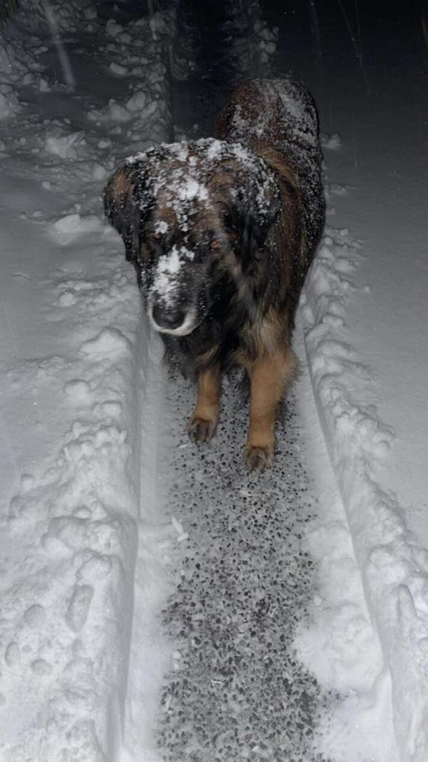 In Neumarkt und Umgebung liegt Schnee so weit das Auge reicht.