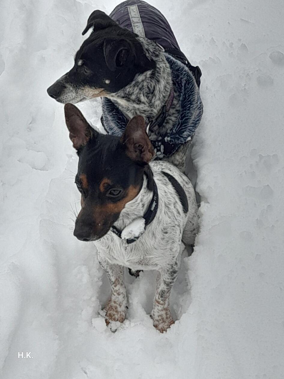 In Neumarkt und Umgebung liegt Schnee so weit das Auge reicht.