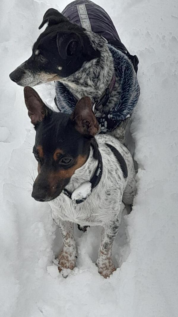 In Neumarkt und Umgebung liegt Schnee so weit das Auge reicht.