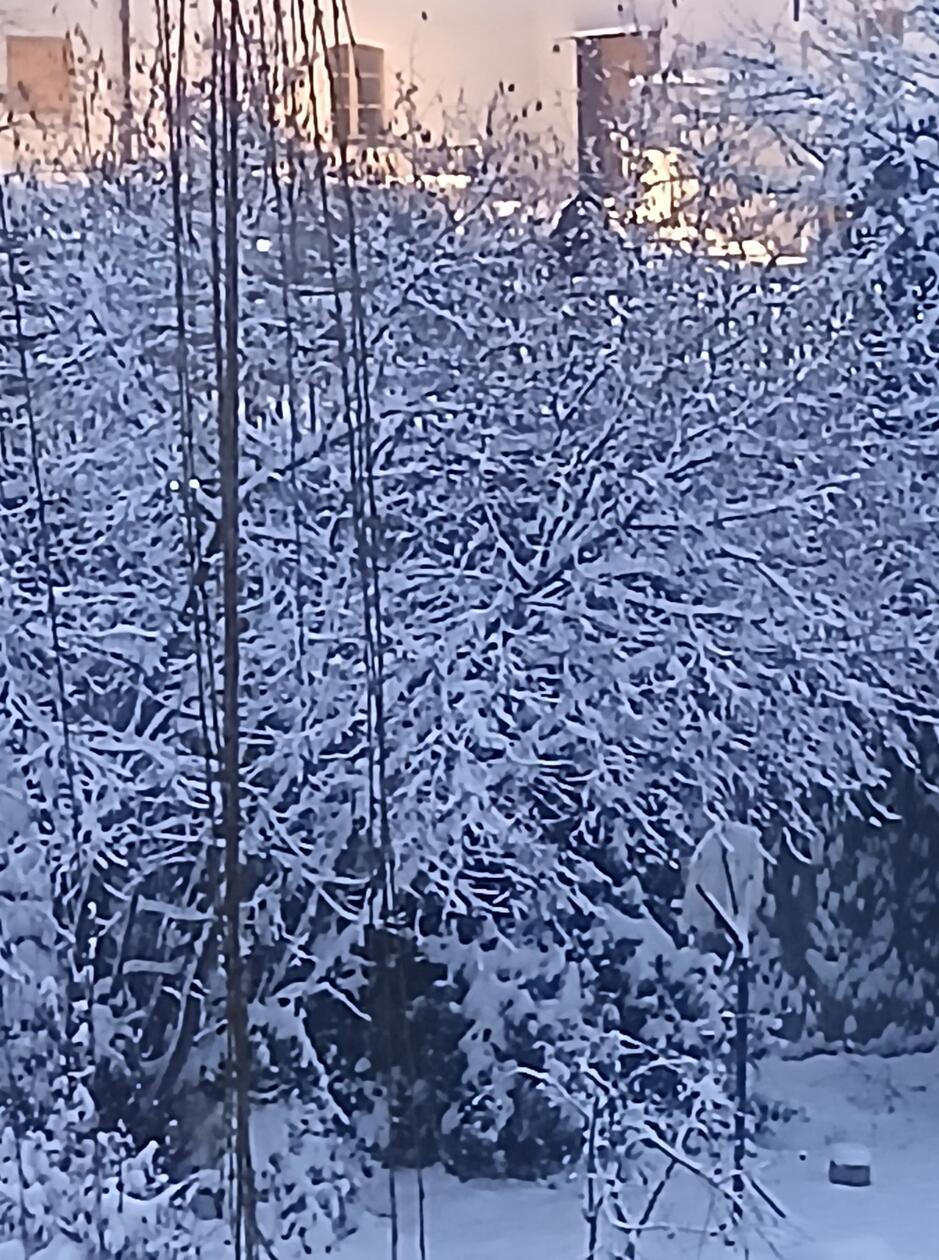 In Neumarkt und Umgebung liegt Schnee so weit das Auge reicht.