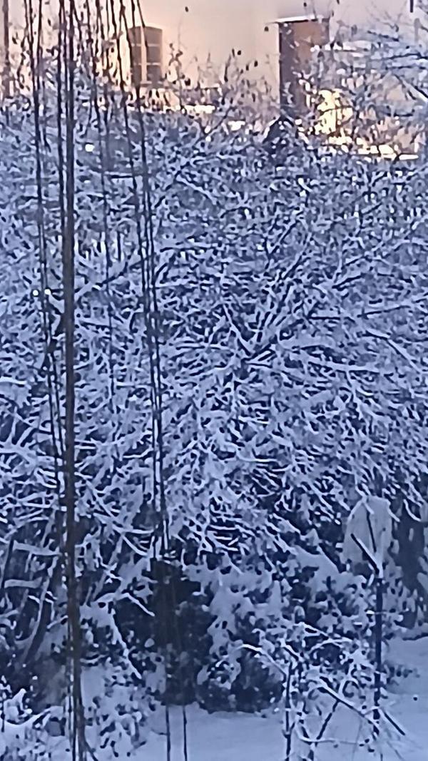 In Neumarkt und Umgebung liegt Schnee so weit das Auge reicht.