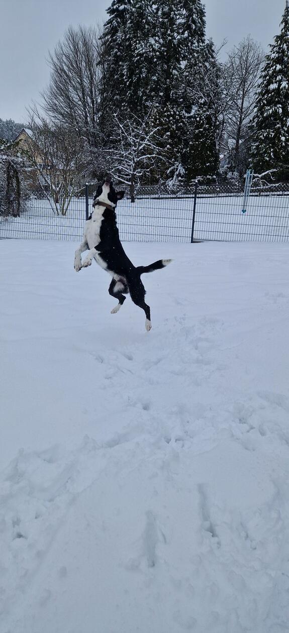 In Neumarkt und Umgebung liegt Schnee so weit das Auge reicht.