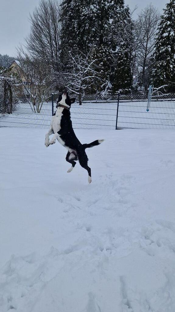 In Neumarkt und Umgebung liegt Schnee so weit das Auge reicht.
