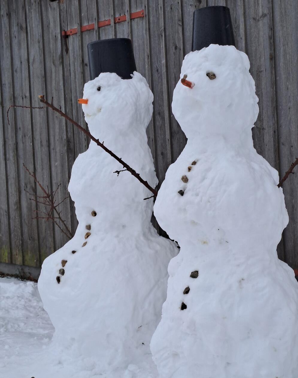 Diese zwei weißen Gesellen schieben in Jahrsdorf schon Wache. Fotografiert von Michael Harrer.