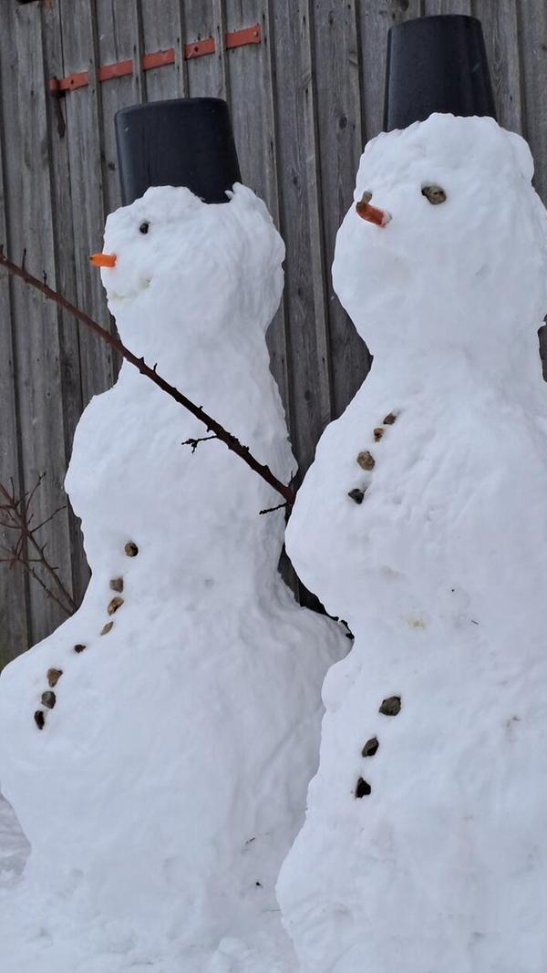 Diese zwei weißen Gesellen schieben in Jahrsdorf schon Wache. Fotografiert von Michael Harrer.