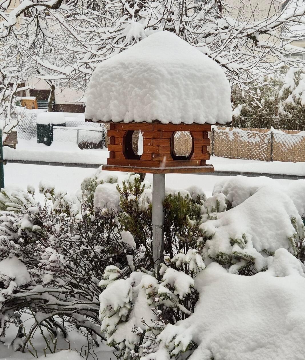 Dieses Vogelhäuschen, das Inge Klimmer in Wendelstein fotografiert hat, hat ganz schön zu tragen.