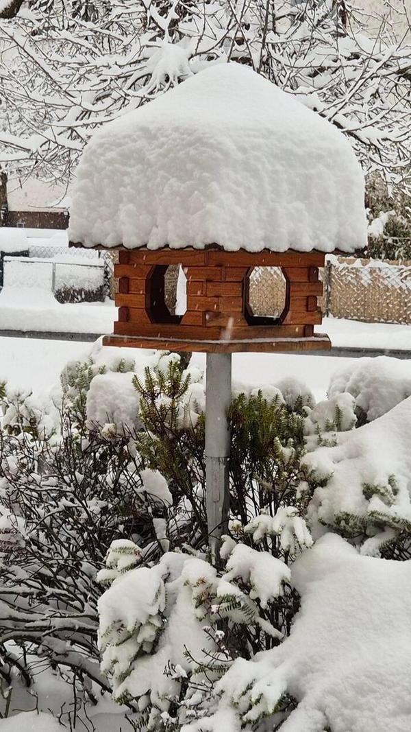 Dieses Vogelhäuschen, das Inge Klimmer in Wendelstein fotografiert hat, hat ganz schön zu tragen.