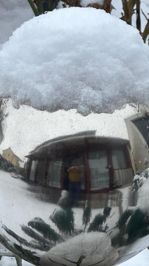 "Unter der Haube" hat unser Leser Manfred Fuchs aus Roth dieses Foto überschrieben.