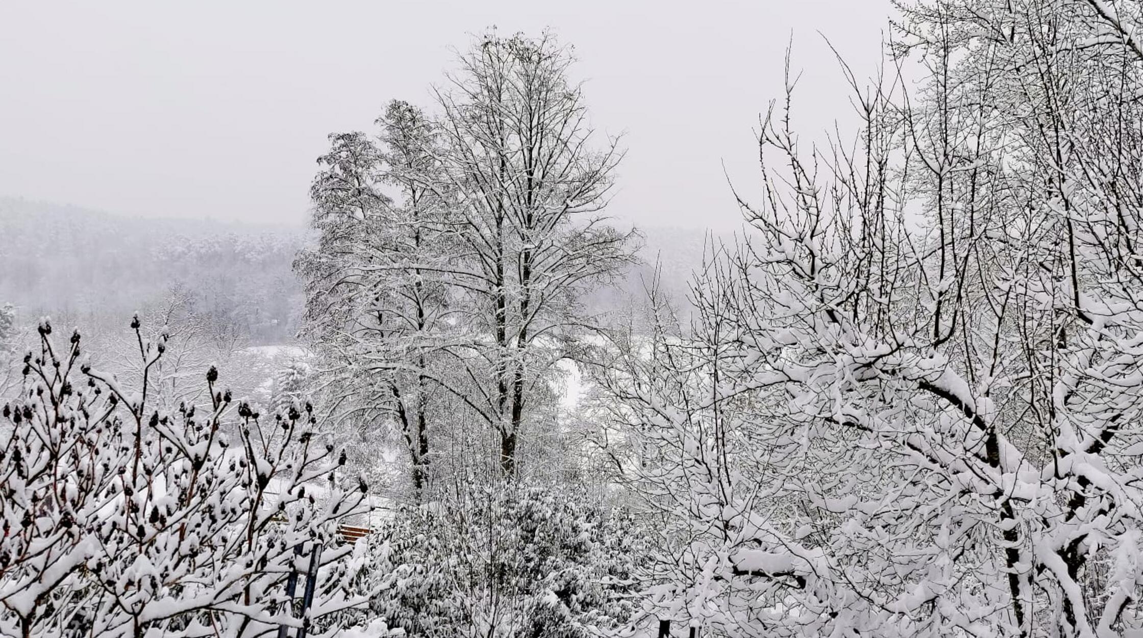 Die Wälder und Gärten sind wie verzaubert.