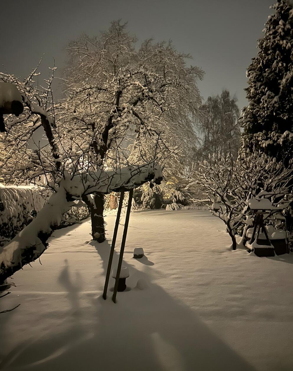 Nächtliche Schnee-Impressionen aus Rednitzhembach von Doris Heimers.