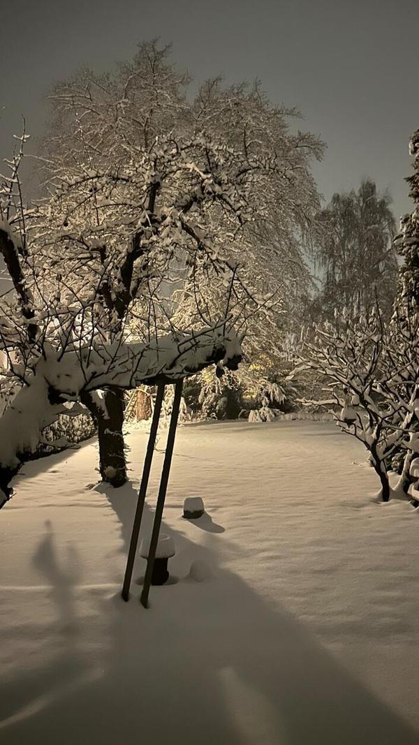 Nächtliche Schnee-Impressionen aus Rednitzhembach von Doris Heimers.