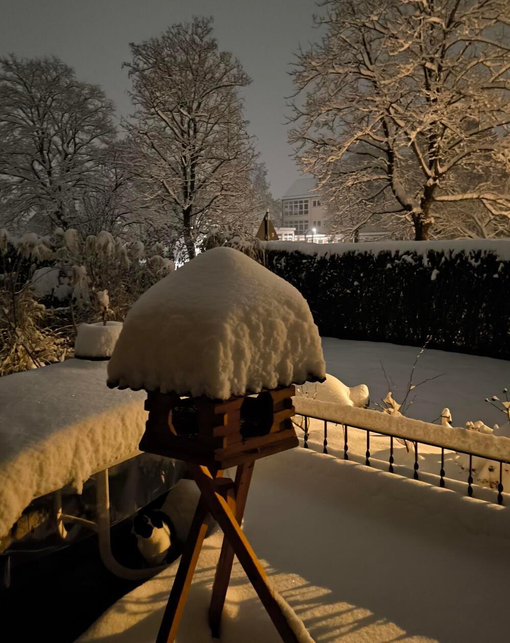 Eine dicke Wintermütze hat dieses Vogelhaus aufgesetzt.