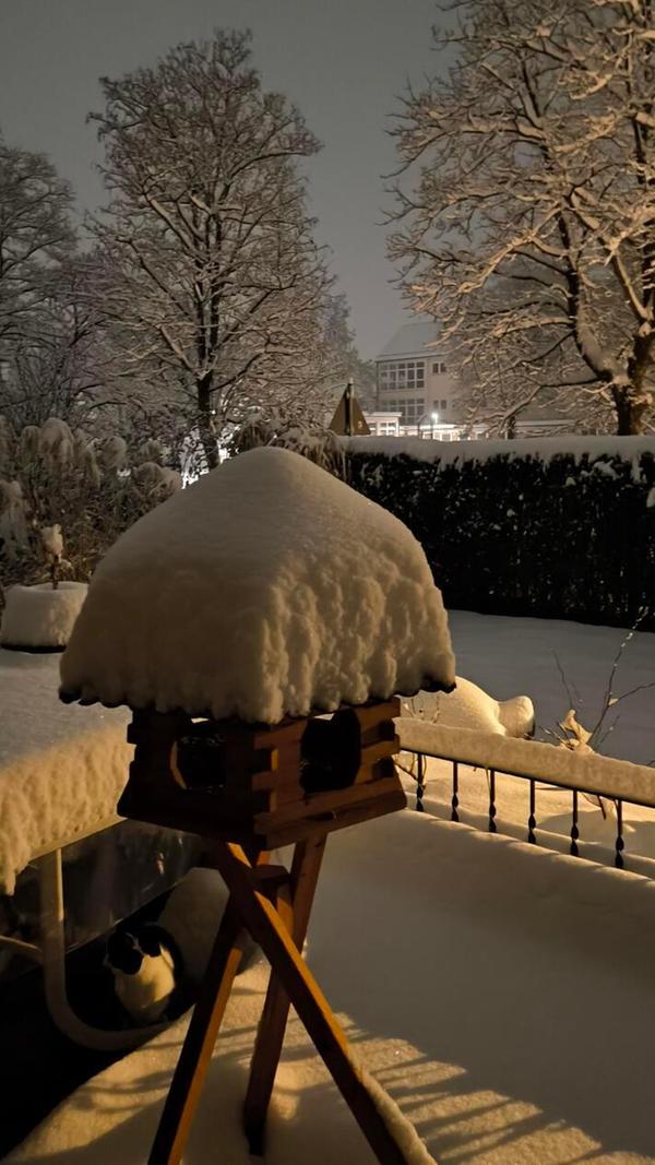 Eine dicke Wintermütze hat dieses Vogelhaus aufgesetzt.