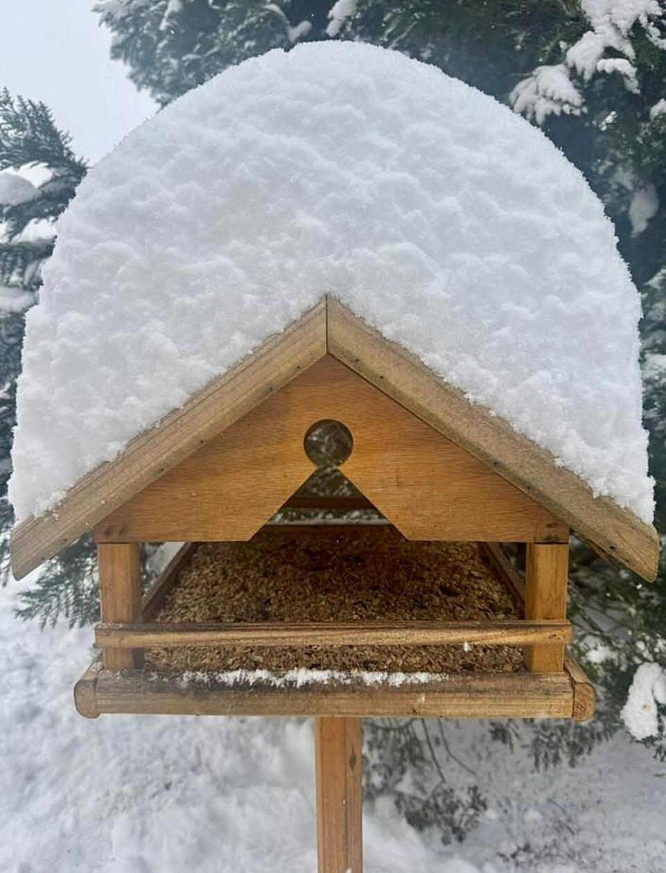 Vogelhaus mit Wintermütze...