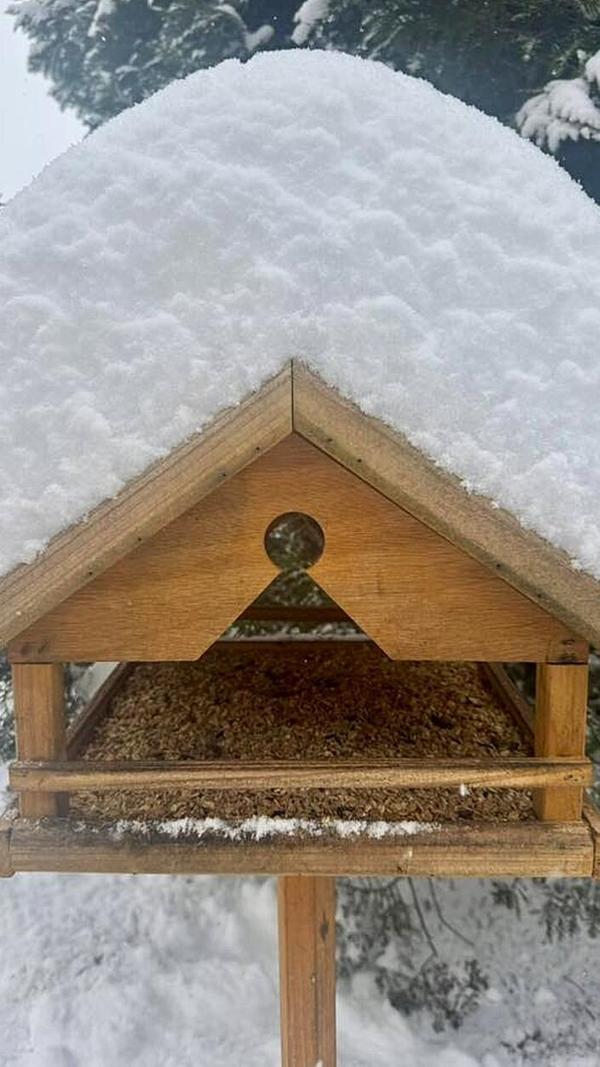 Vogelhaus mit Wintermütze...