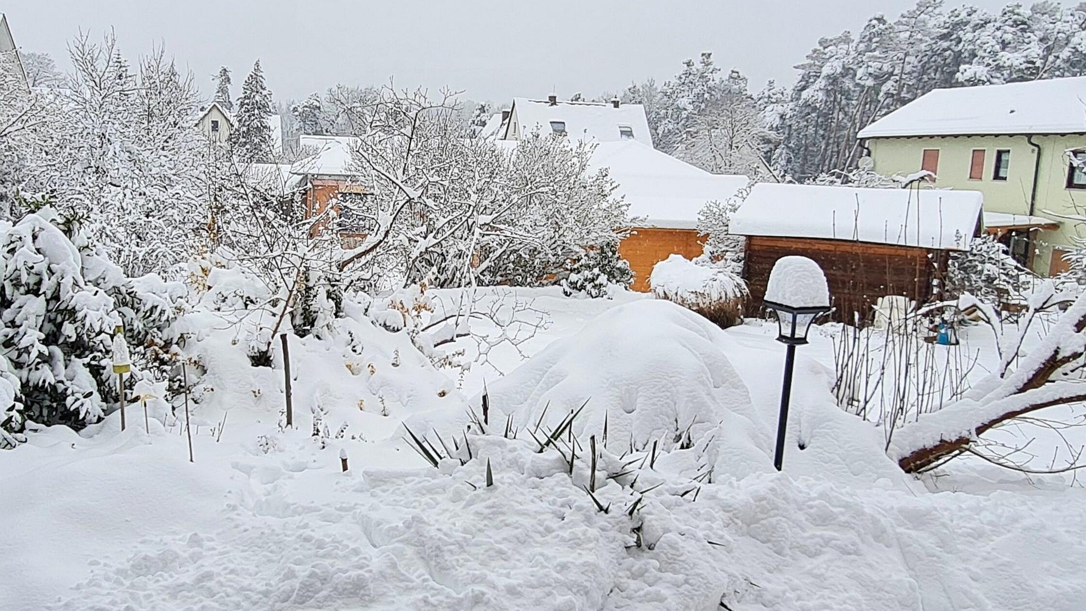 Hier ist der Schnee schon so tief, dass Büsche, Bäume und Vogelhaus kaum noch zu unterscheiden sind...