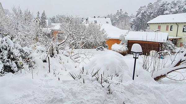 Hier ist der Schnee schon so tief, dass Büsche, Bäume und Vogelhaus kaum noch zu unterscheiden sind...