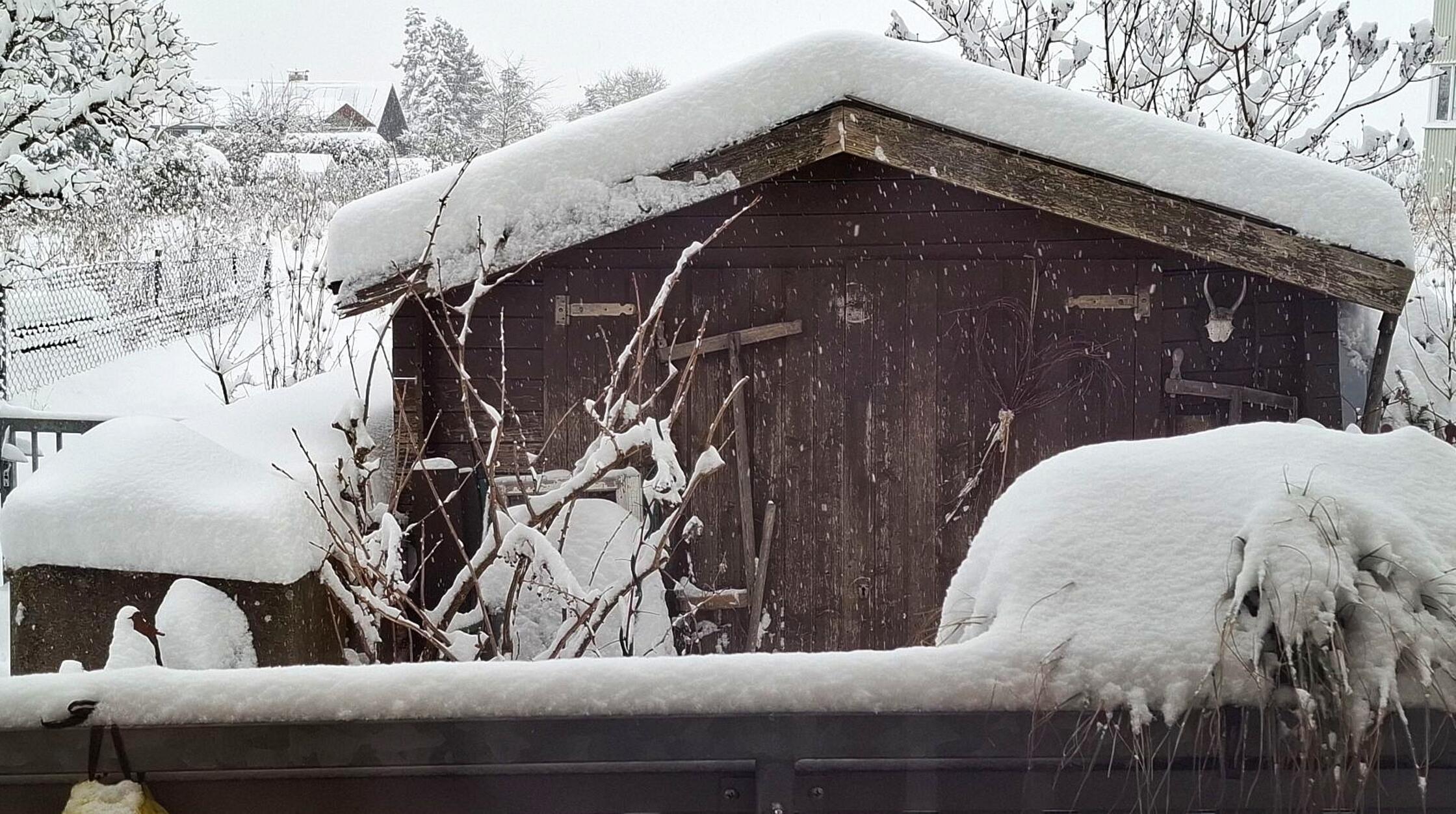 Ein Gartenschuppen im weißen Kleid.
