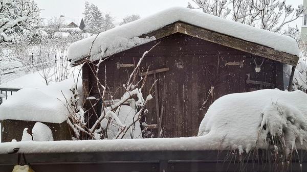 Ein Gartenschuppen im weißen Kleid.