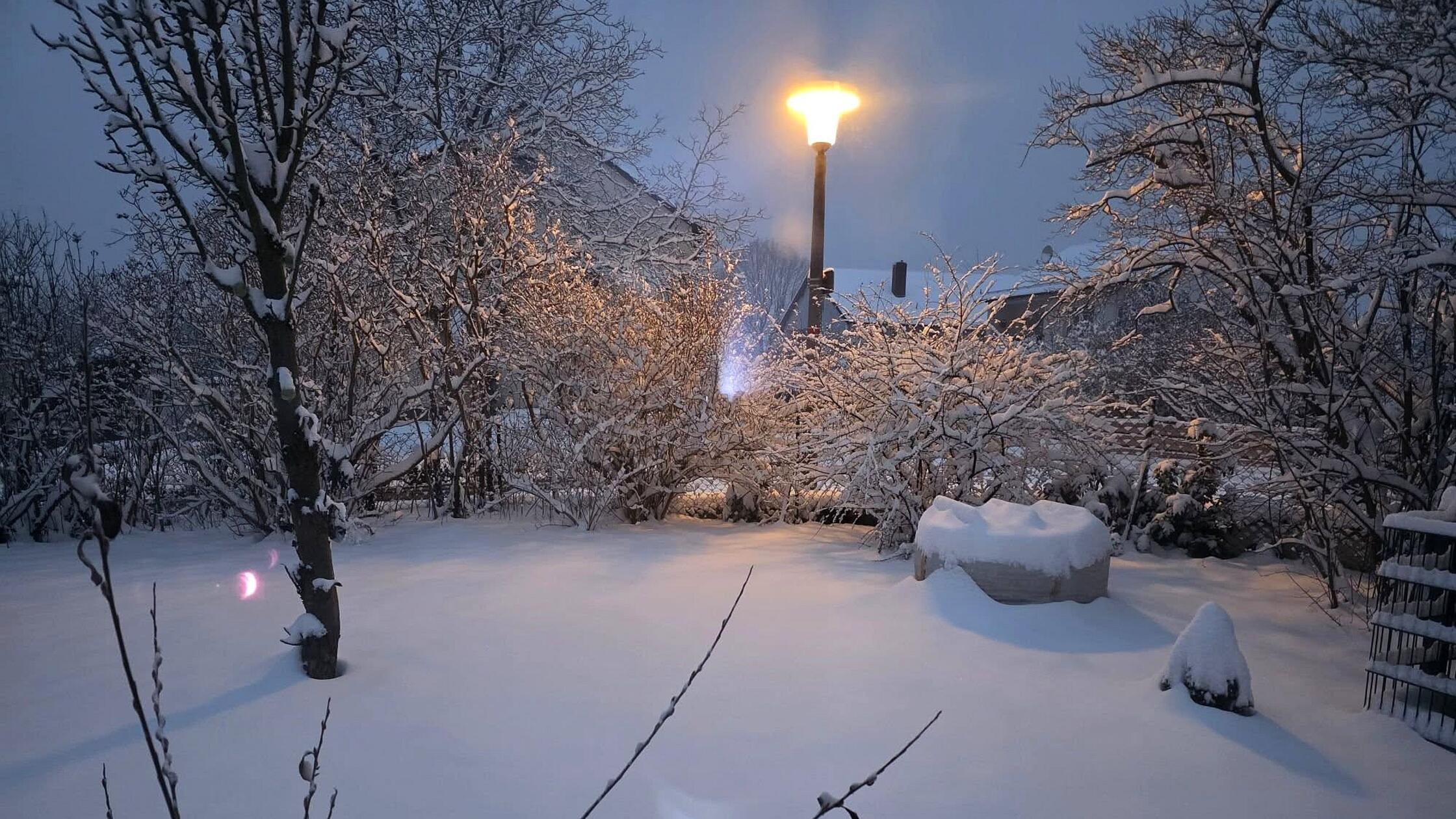 Fast ein bisschen mystisch liegt dieser eingeschneite Garten im Licht der Straßenlaterne.