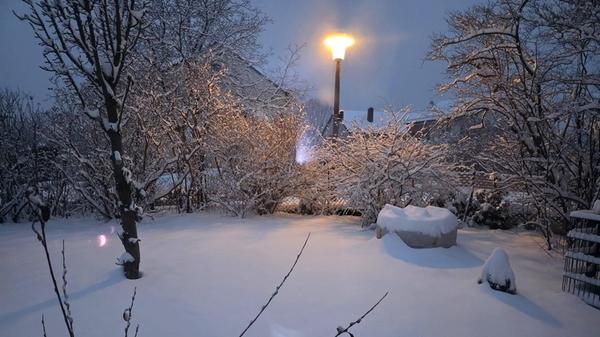 Fast ein bisschen mystisch liegt dieser eingeschneite Garten im Licht der Straßenlaterne.