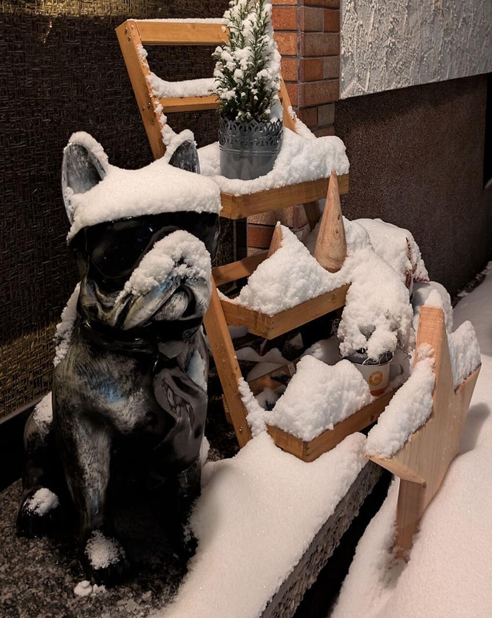 Obacht! Hier ist jemand noch cooler als Schnee und Eis!